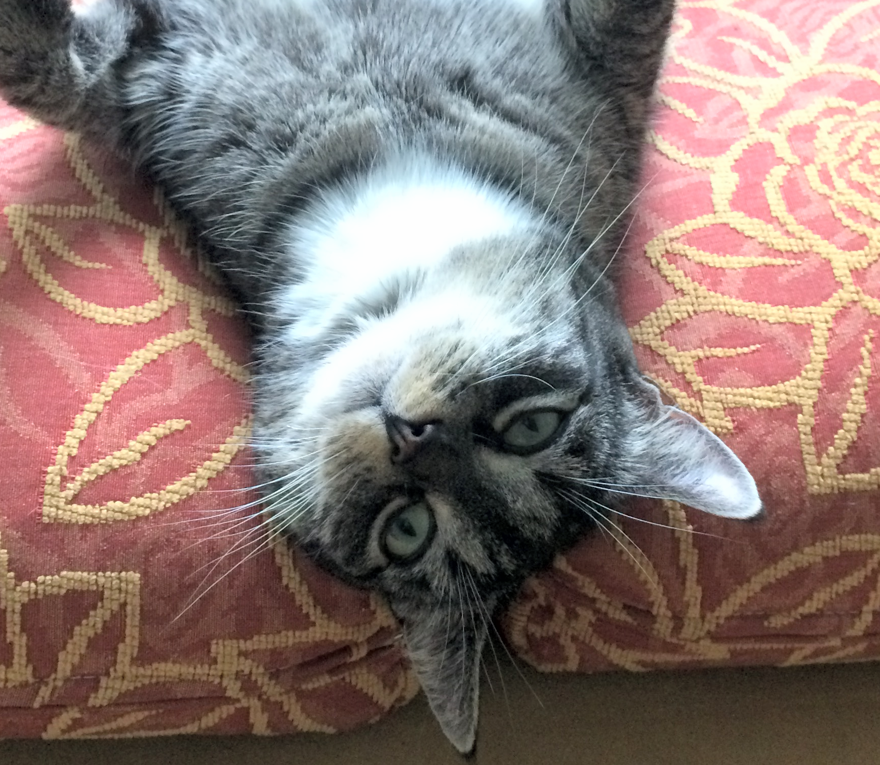 Valokuvaaja: Margaret Nieminen