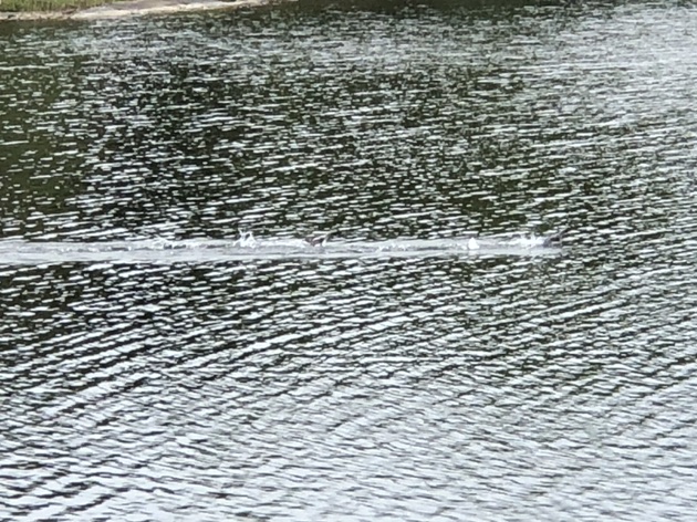 Valokuvaaja: Annamari Mikkola