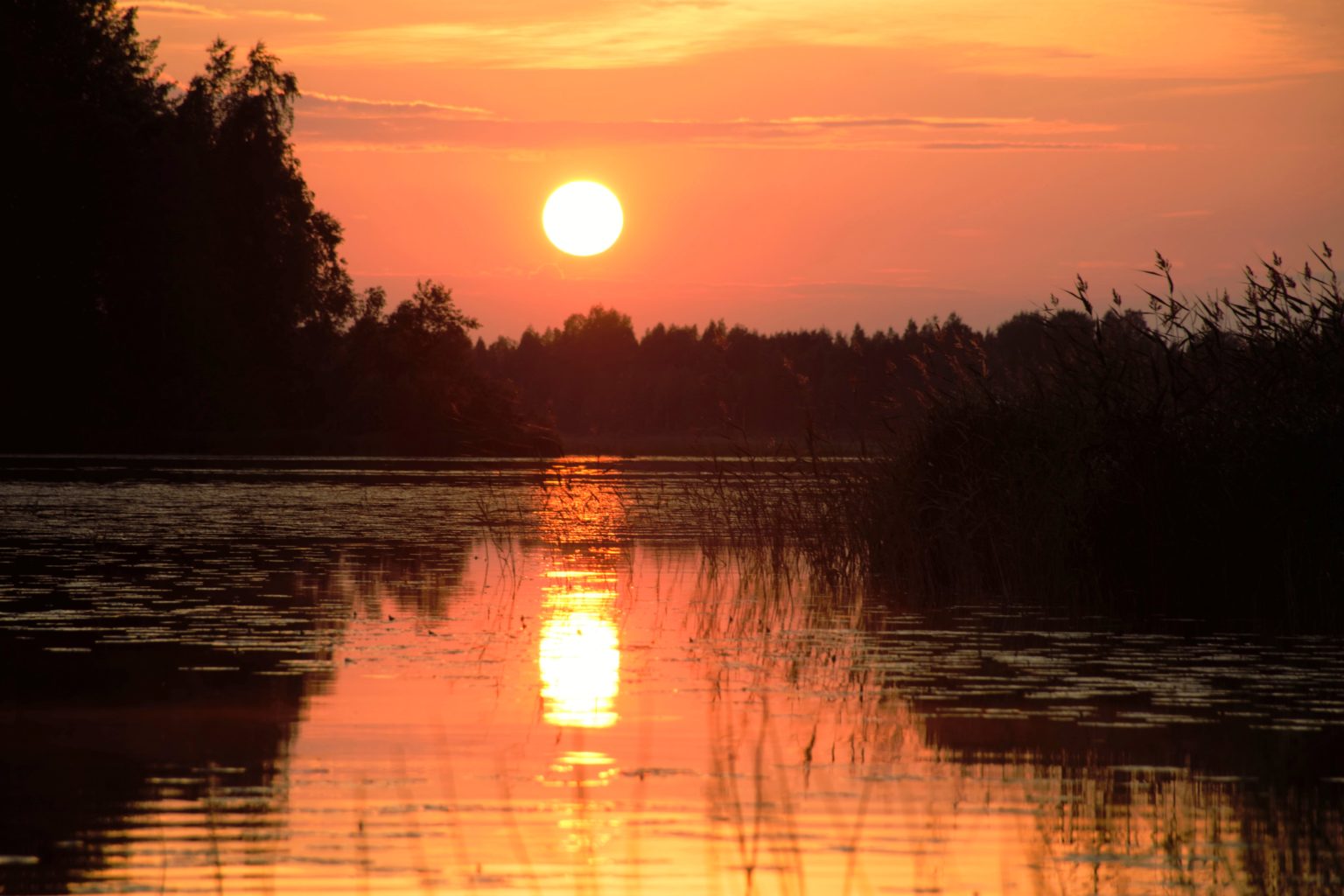 Valokuvaaja: Leena Rissanen