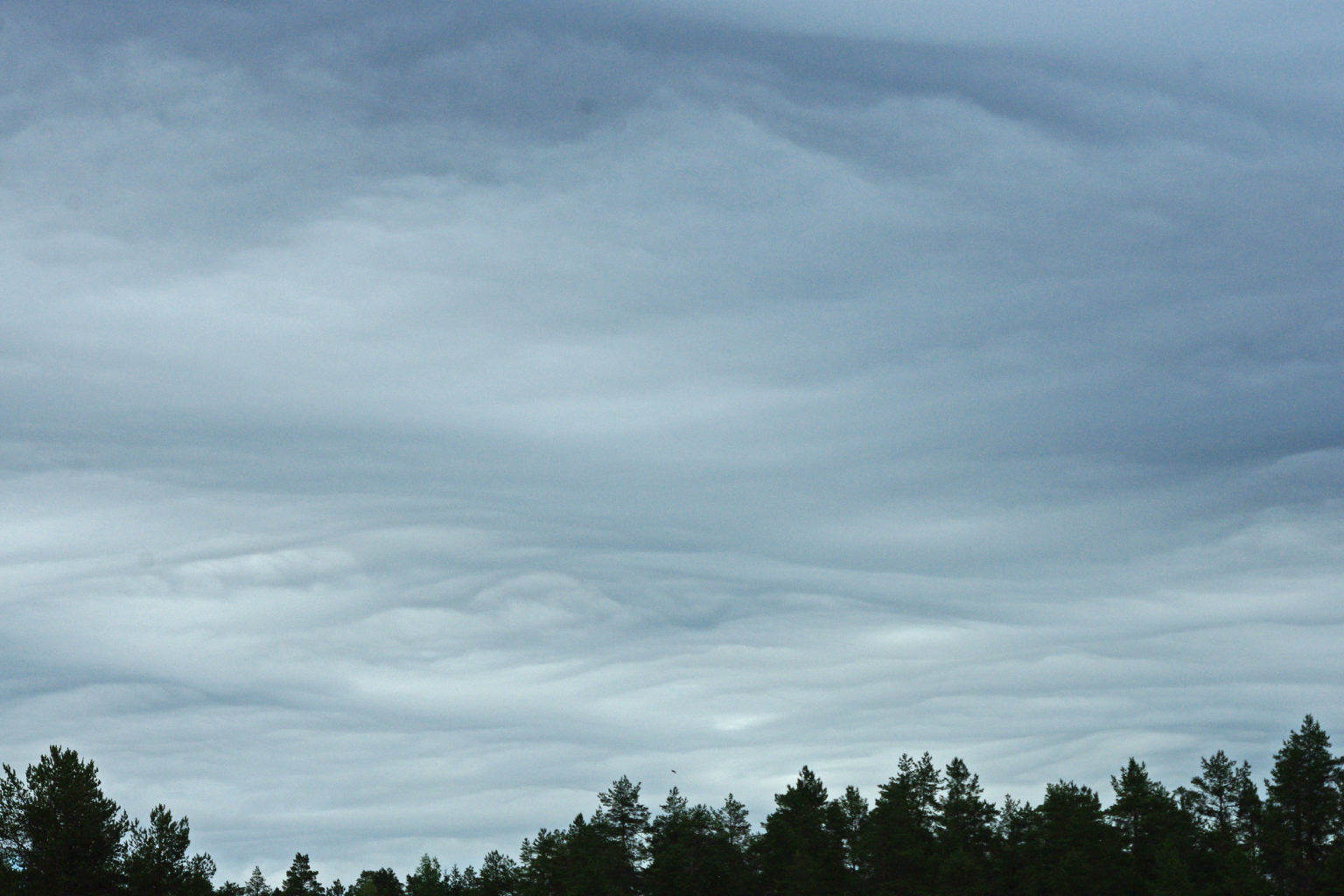 Valokuvaaja: Erkki Virtanen