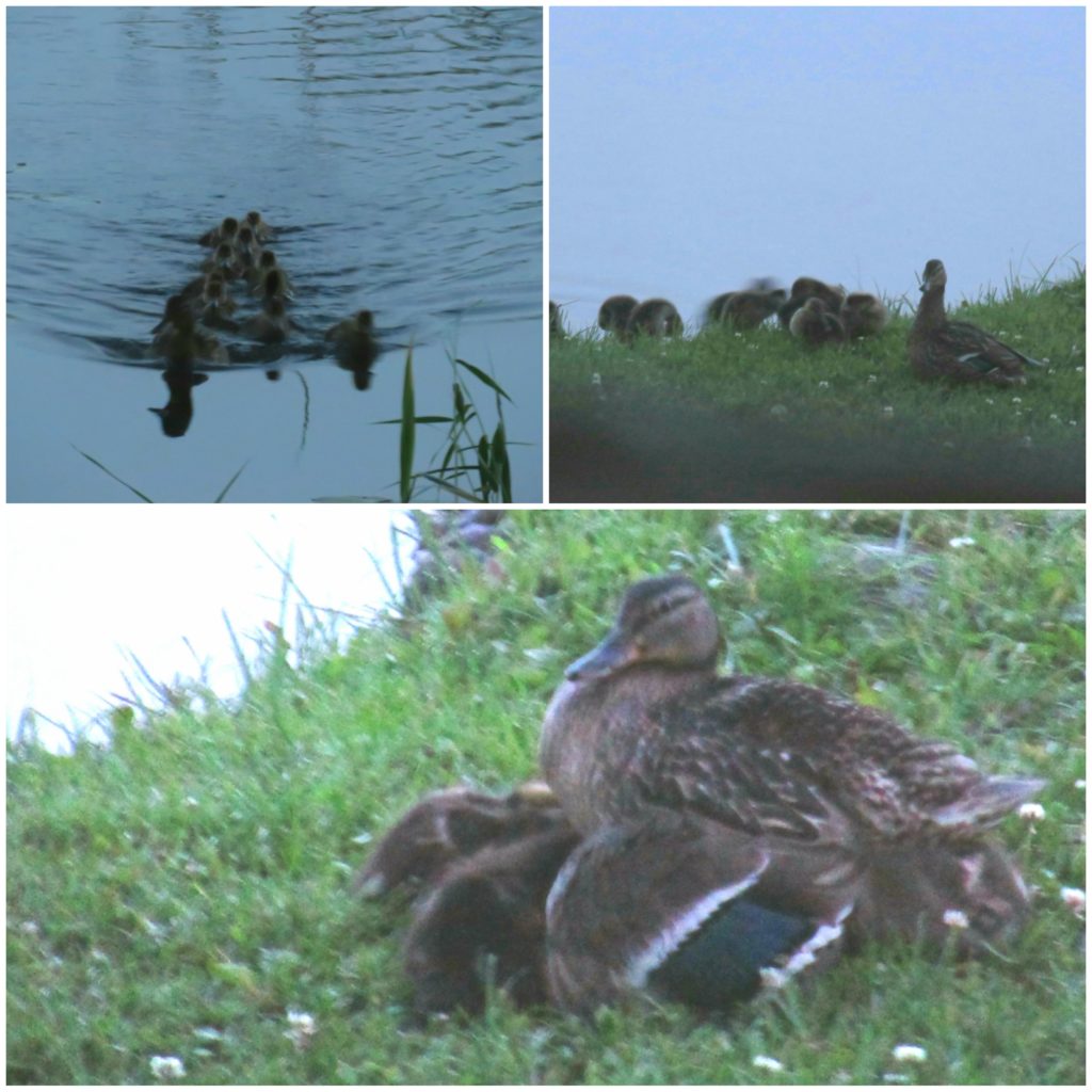 Valokuvaaja: Tuula Makkonen