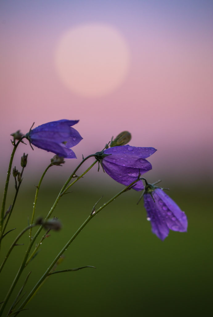 Valokuvaaja: Jukka Risikko