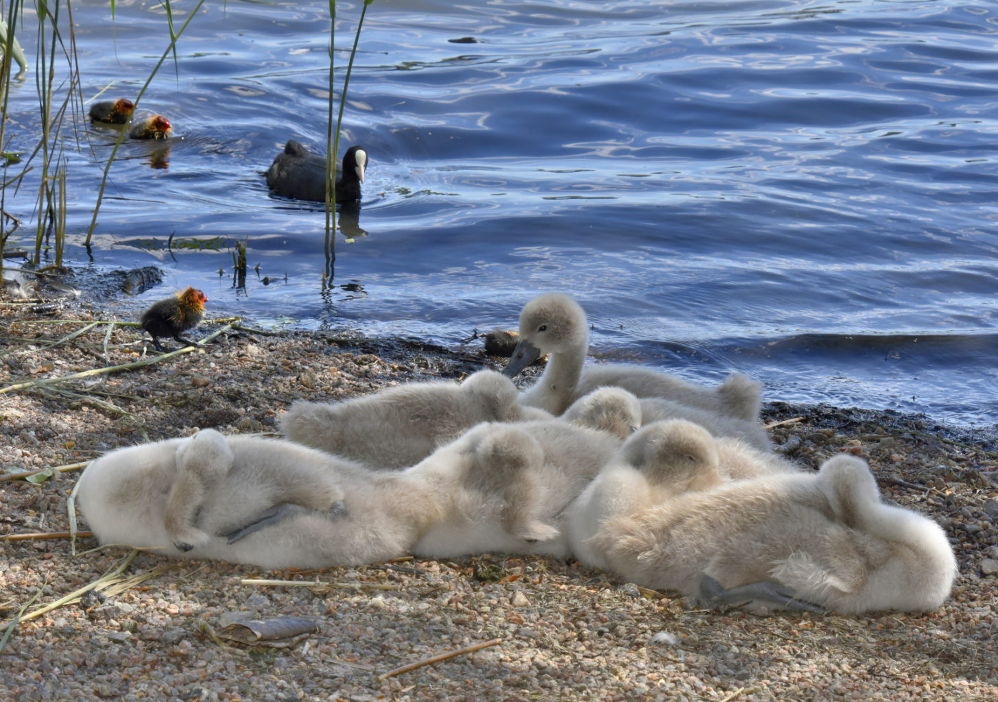 Valokuvaaja: Reijo Juurinen