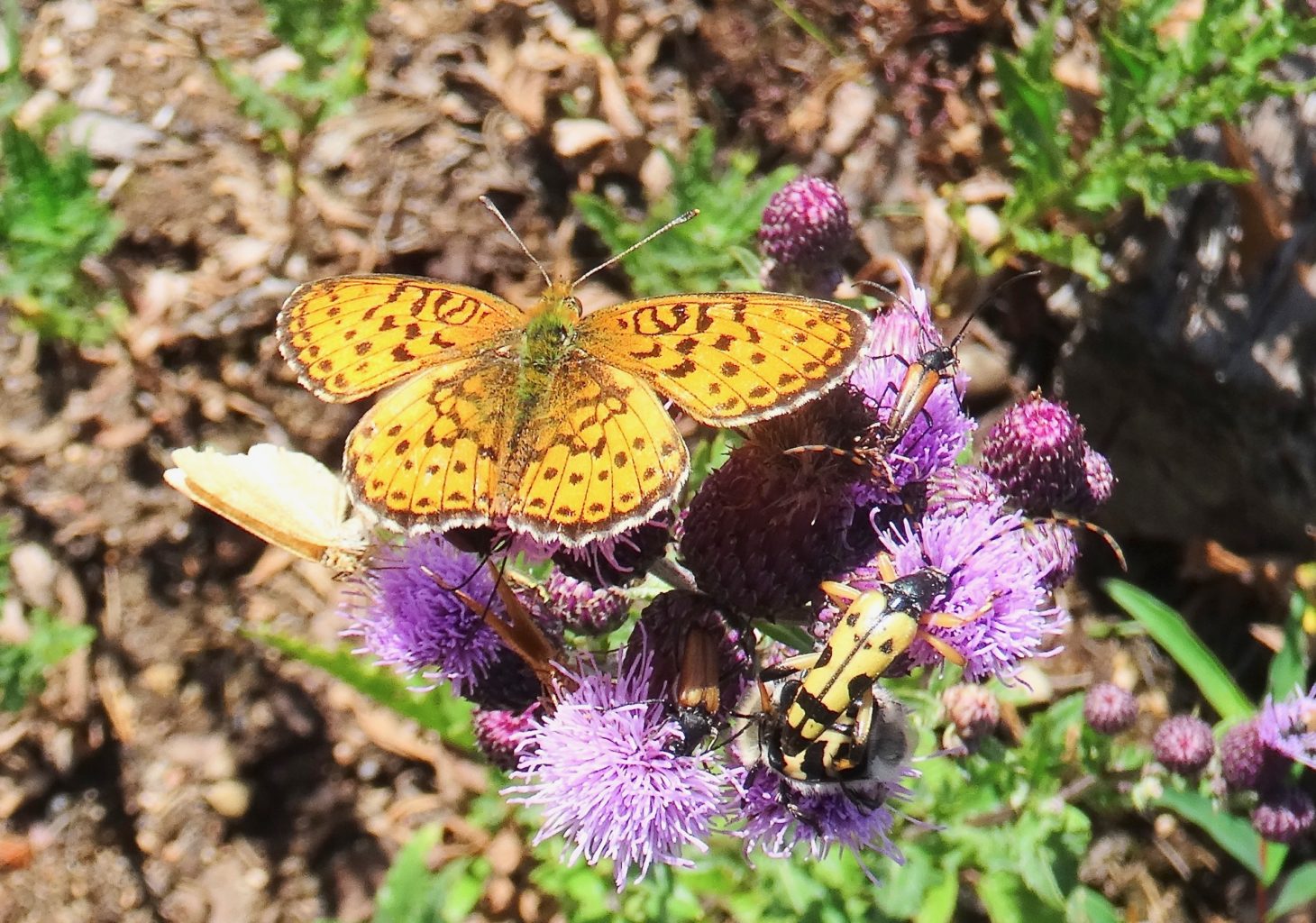 Valokuvaaja: Liisa Niiva-Korpela