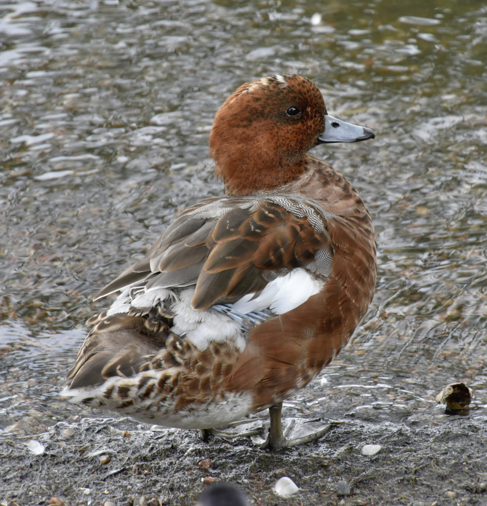Valokuvaaja: Reijo Juurinen