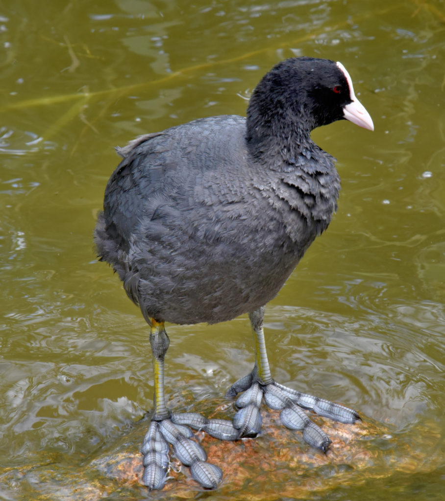 Valokuvaaja: Reijo Juurinen