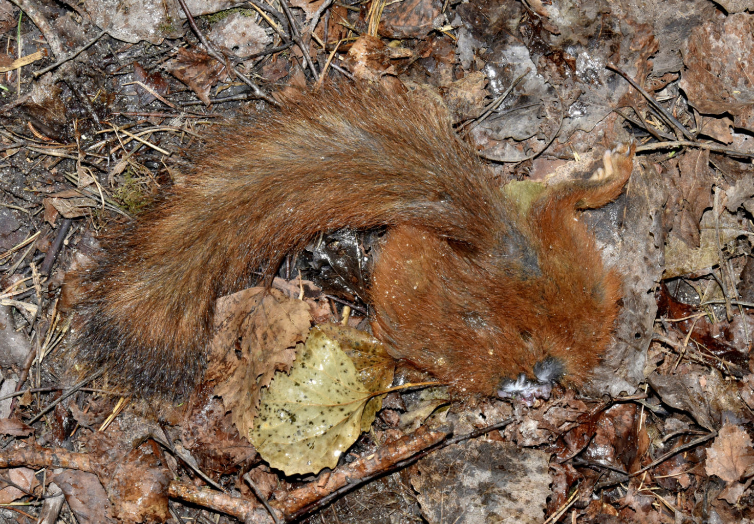 Valokuvaaja: Reijo Juurinen