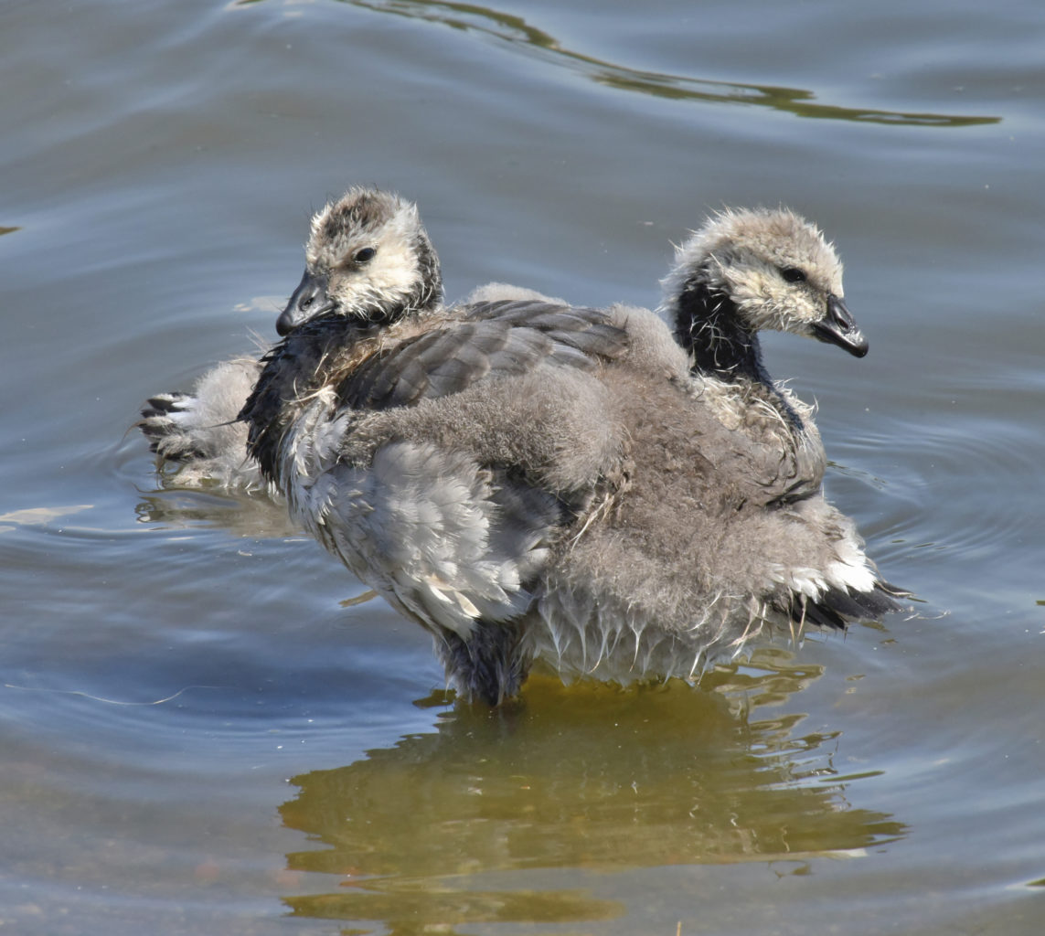 Valokuvaaja: Reijo Juurinen