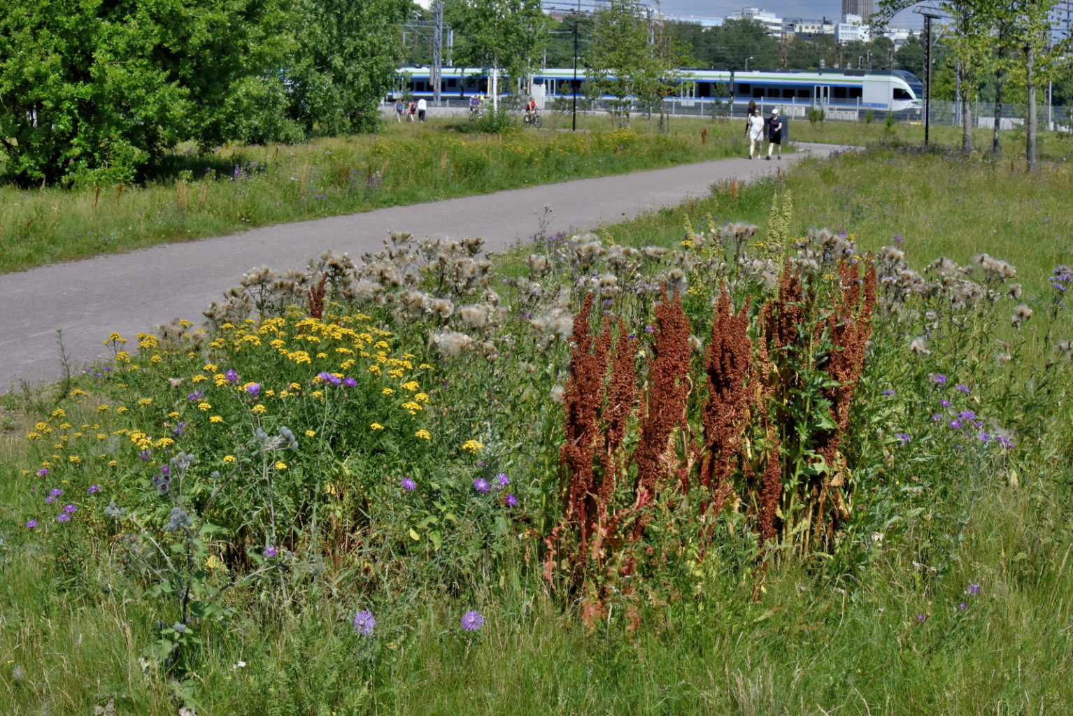Valokuvaaja: Reijo Juurinen
