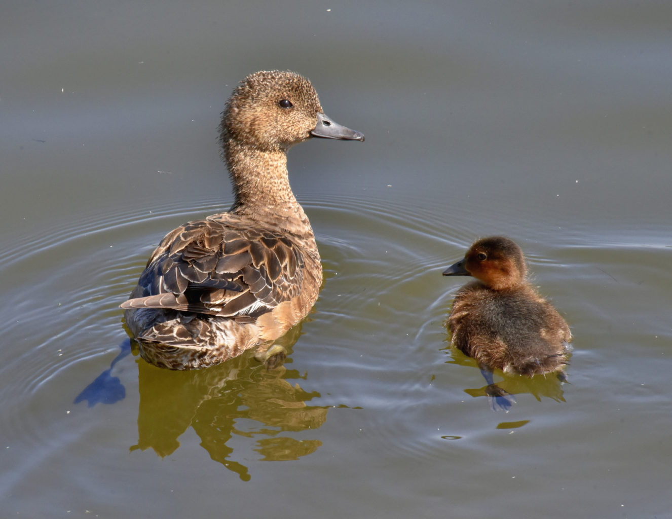 Valokuvaaja: Reijo Juurinen