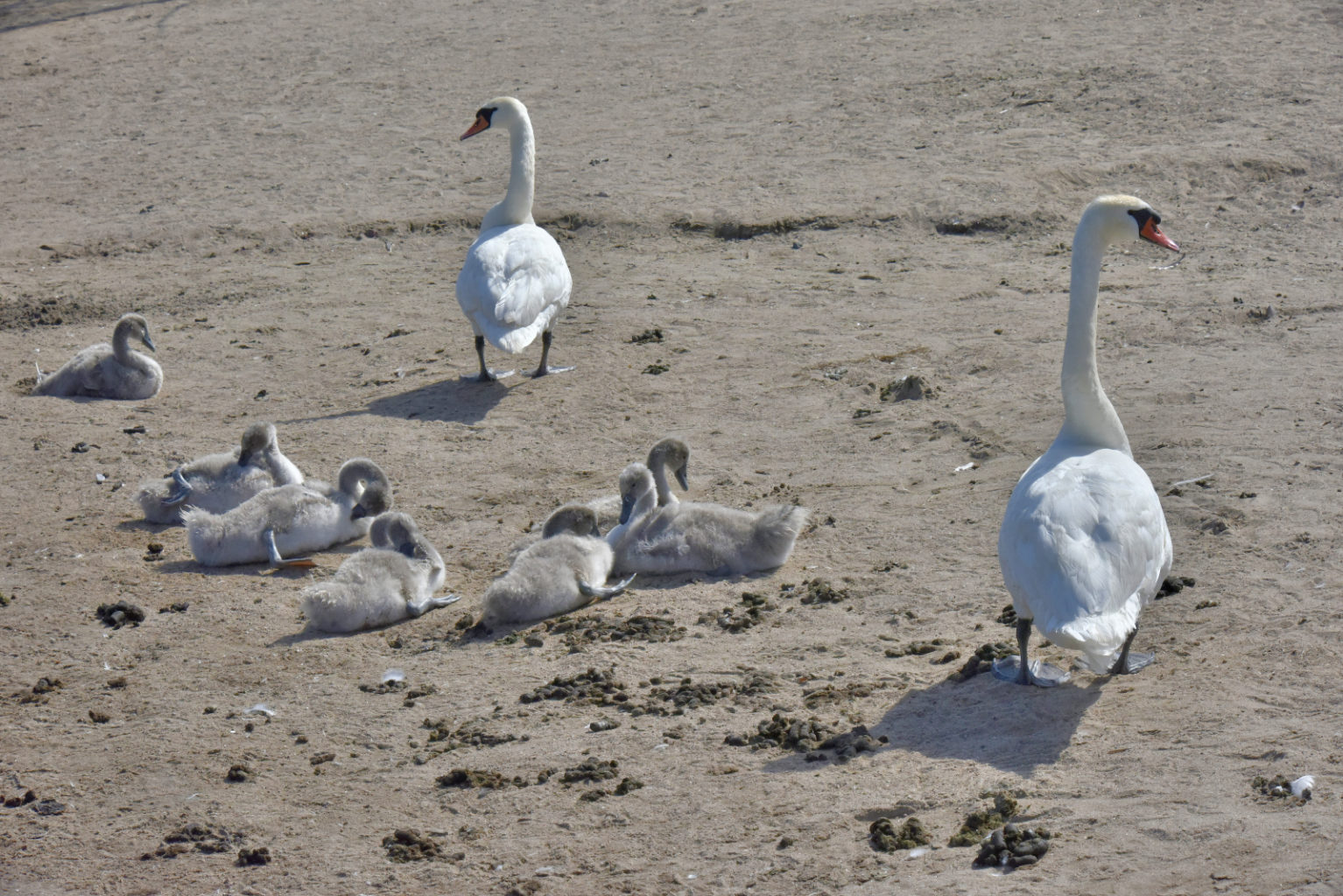 Valokuvaaja: Reijo Juurinen