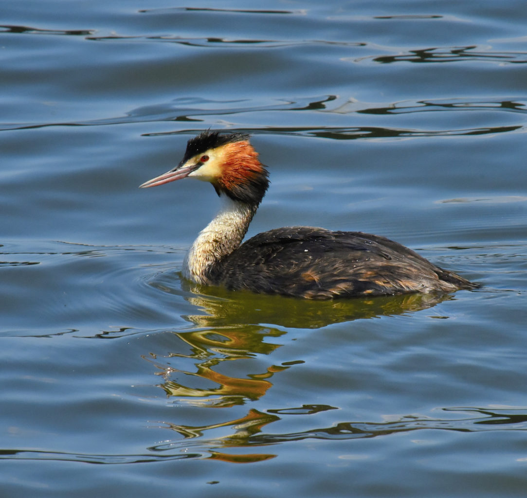Valokuvaaja: Reijo Juurinen