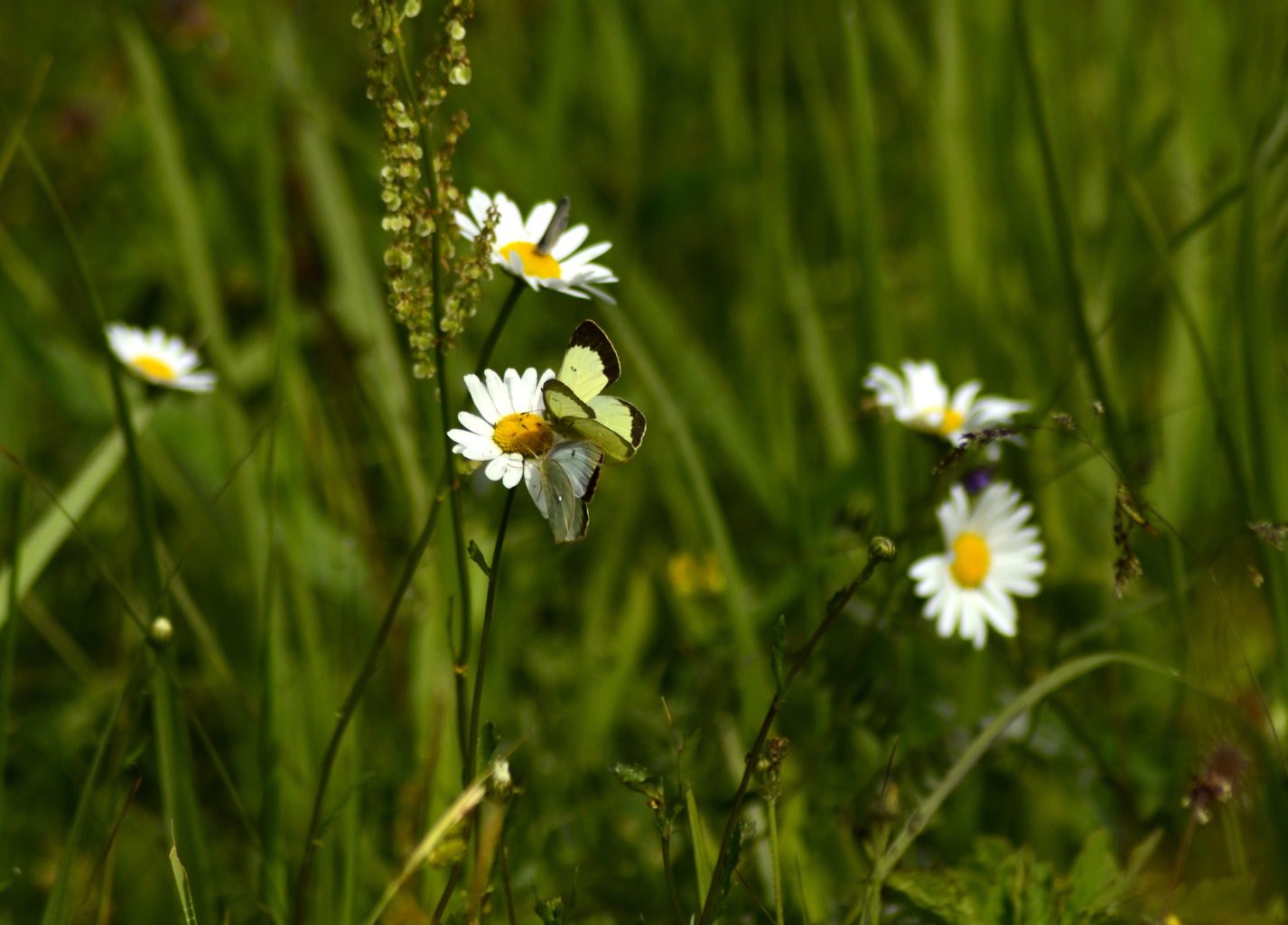 Valokuvaaja: Heidi Rikala