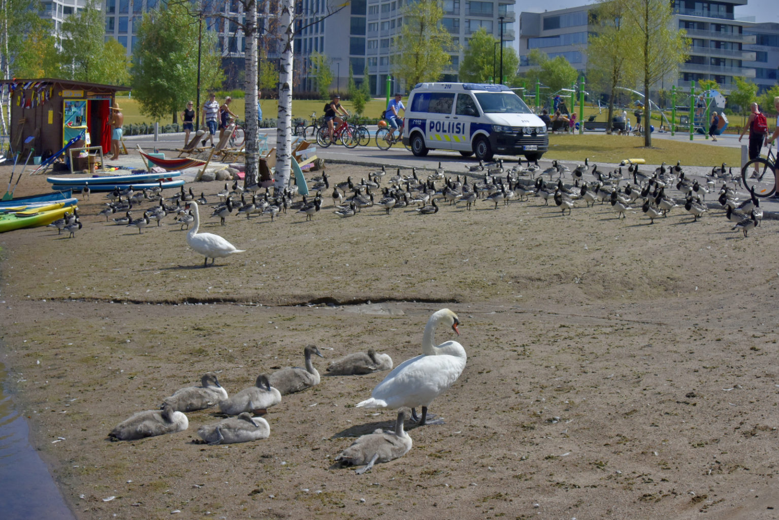 Valokuvaaja: Reijo Juurinen