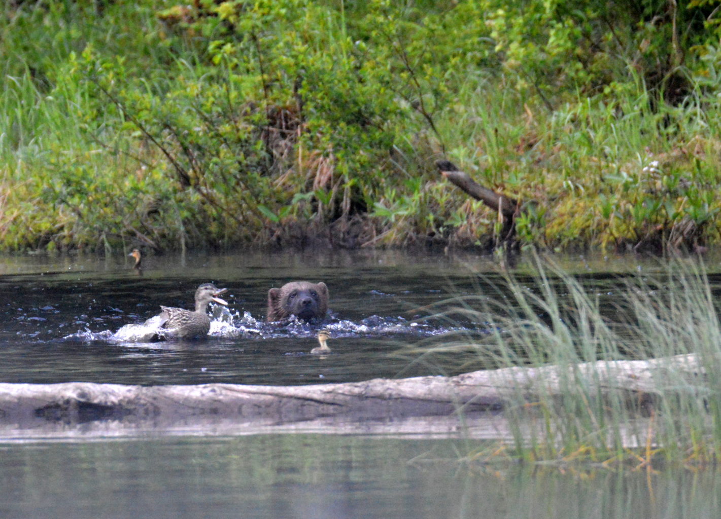 Valokuvaaja: Leena Silvola