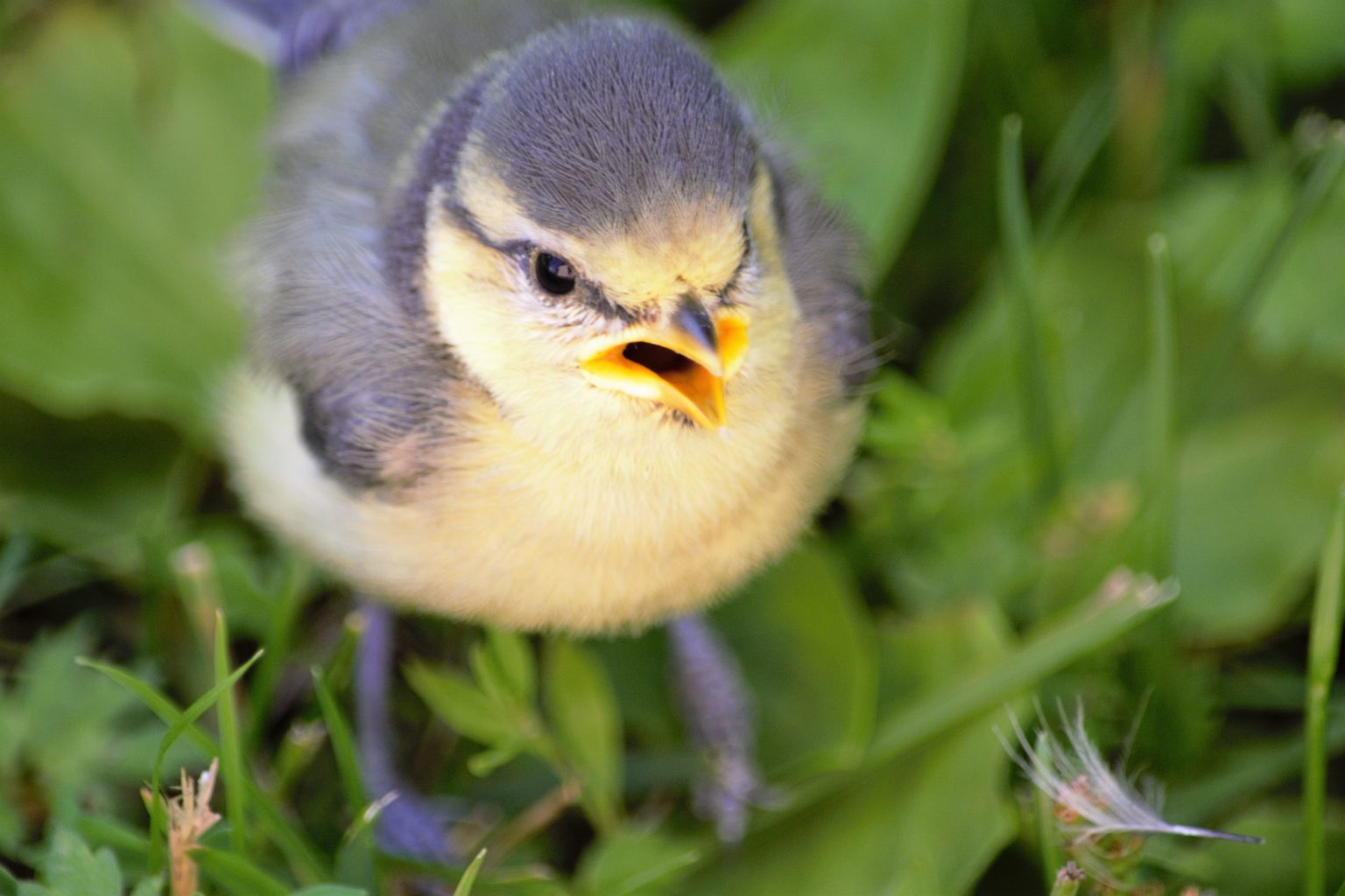 Valokuvaaja: Leena Rissanen