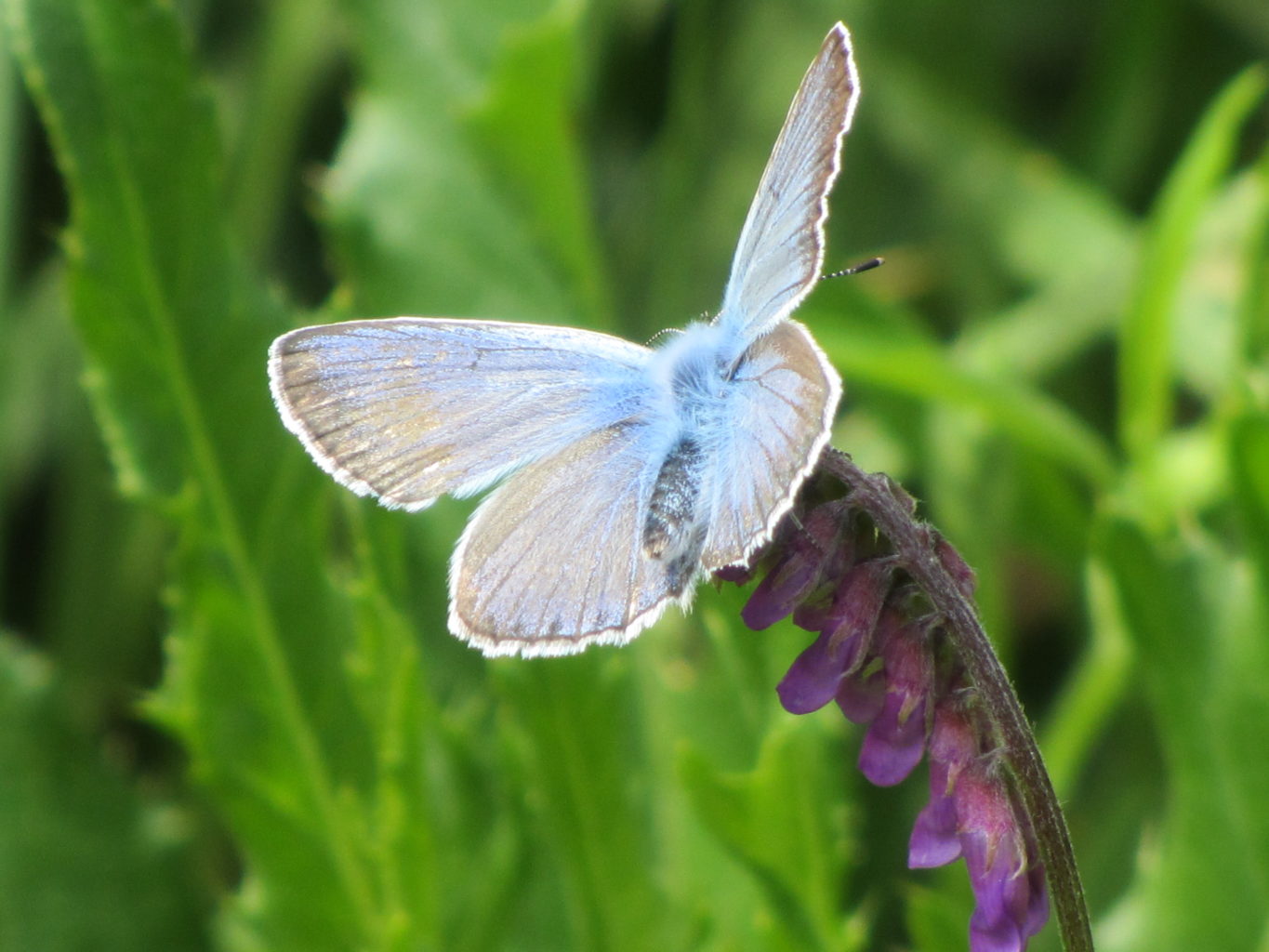 Valokuvaaja: Risto Kangassalo