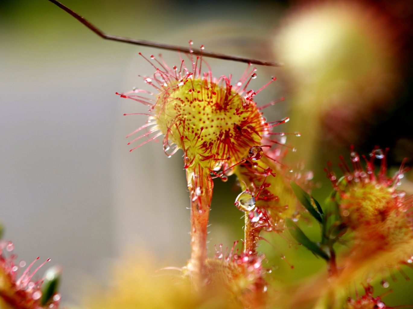 Valokuvaaja: Irja lehtinen