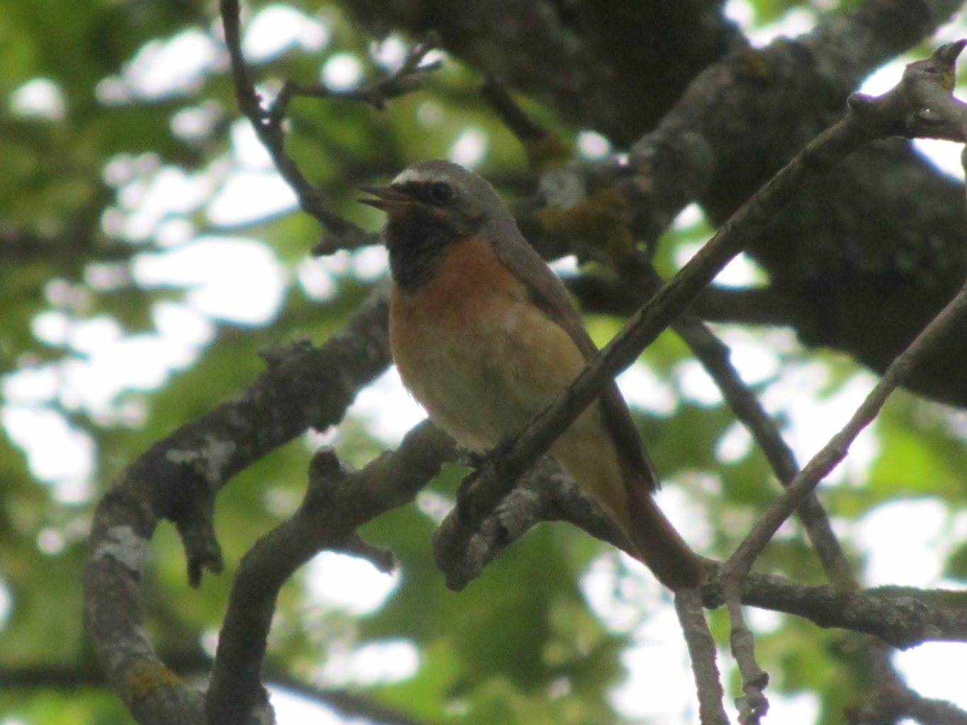 Valokuvaaja: Risto Kangassalo