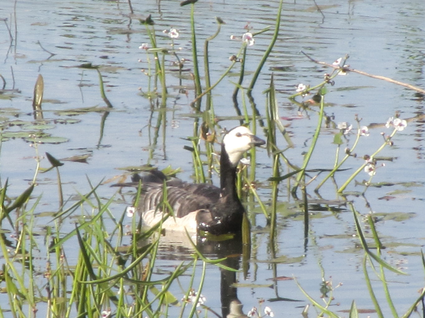 Valokuvaaja: Risto Kangassalo