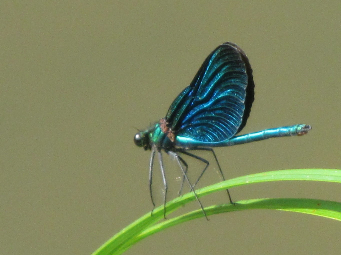 Valokuvaaja: Risto Kangassalo