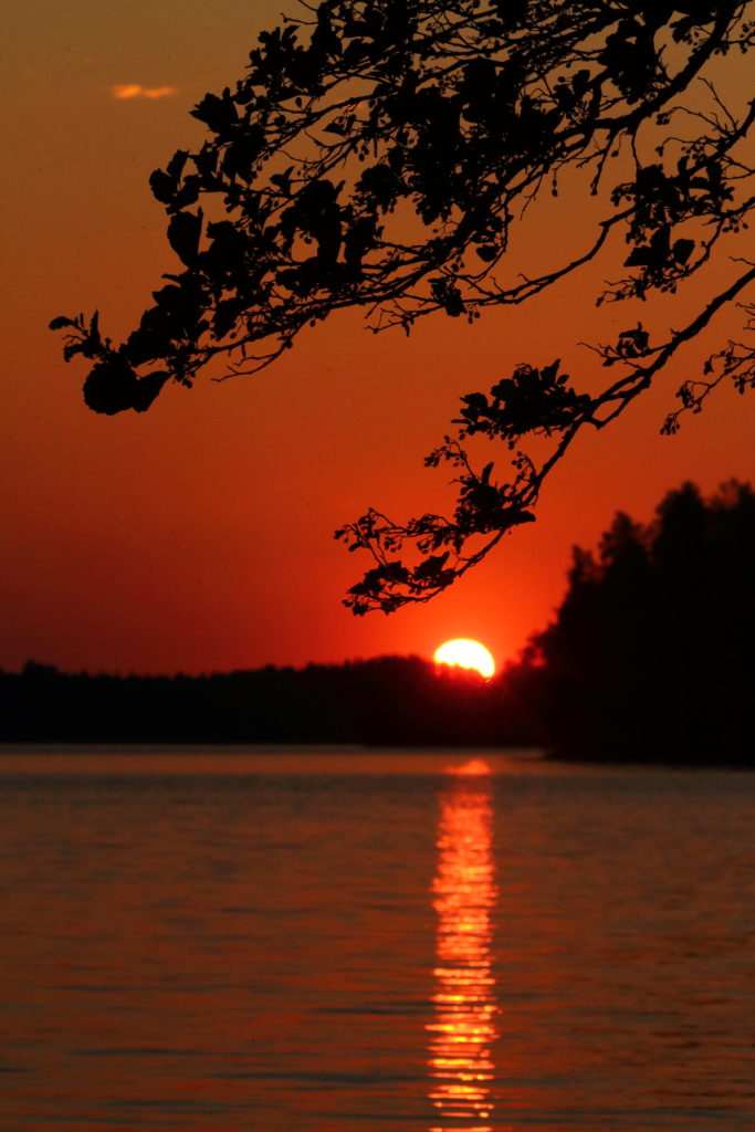 Valokuvaaja: Lasse Kokko