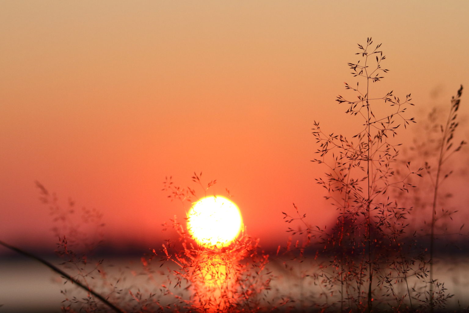 Valokuvaaja: Lasse Kokko