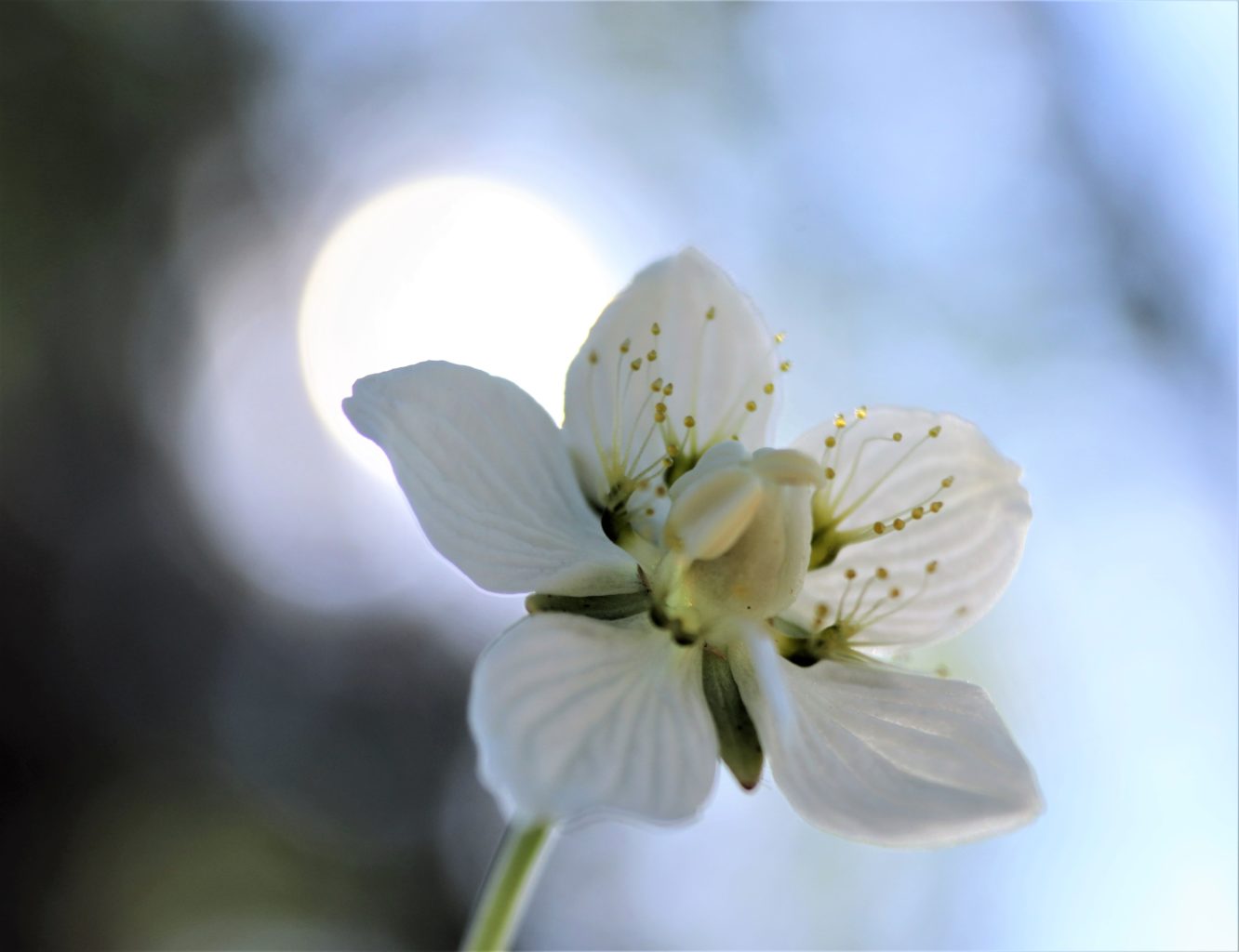 Valokuvaaja: Irja Lehtinen