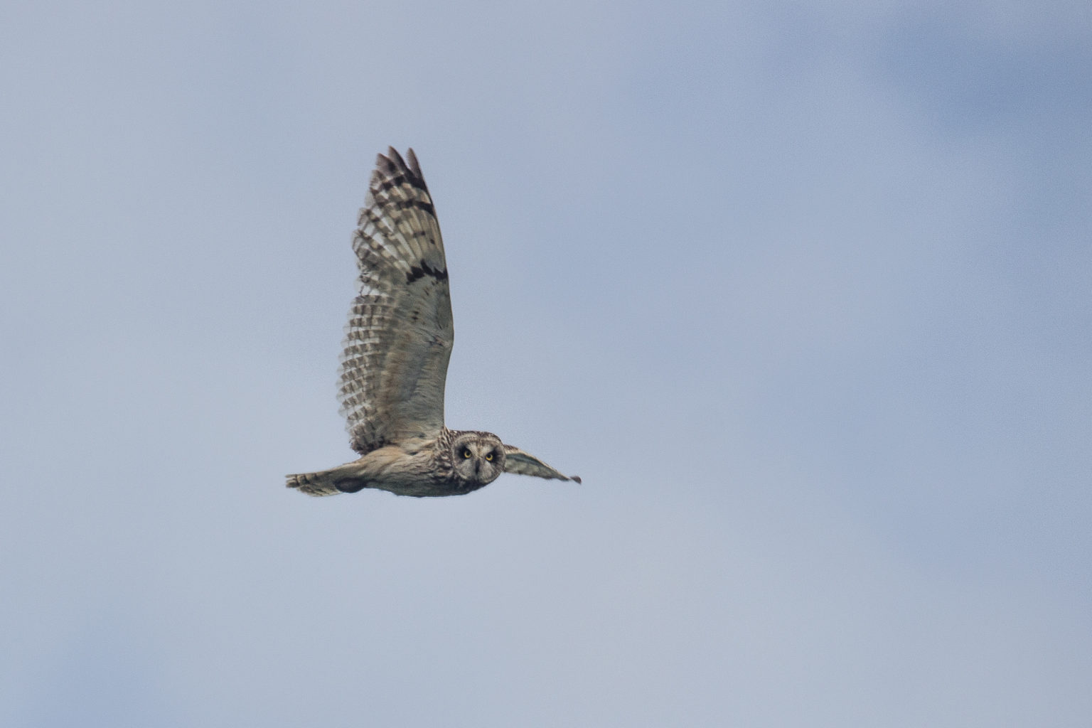 Valokuvaaja: Teija Ruuhola