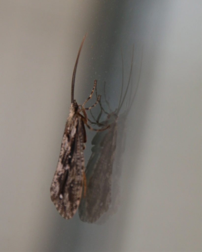 Valokuvaaja: Pirjo Kallio