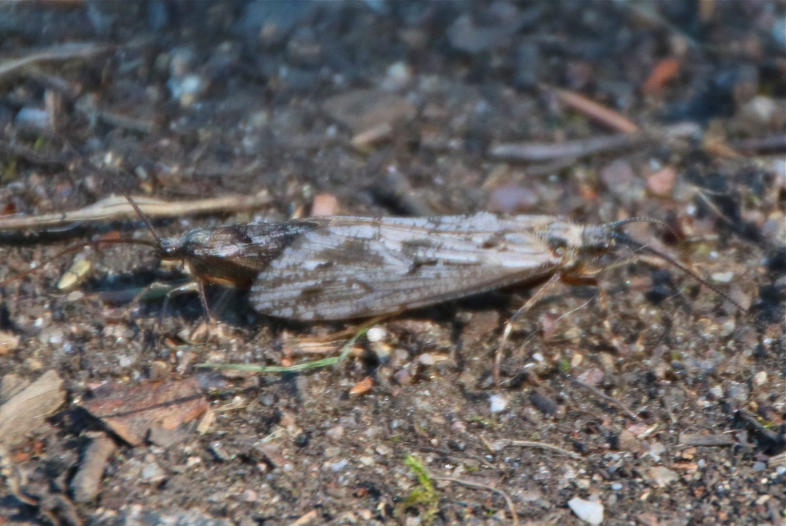 Valokuvaaja: Pirjo Kallio