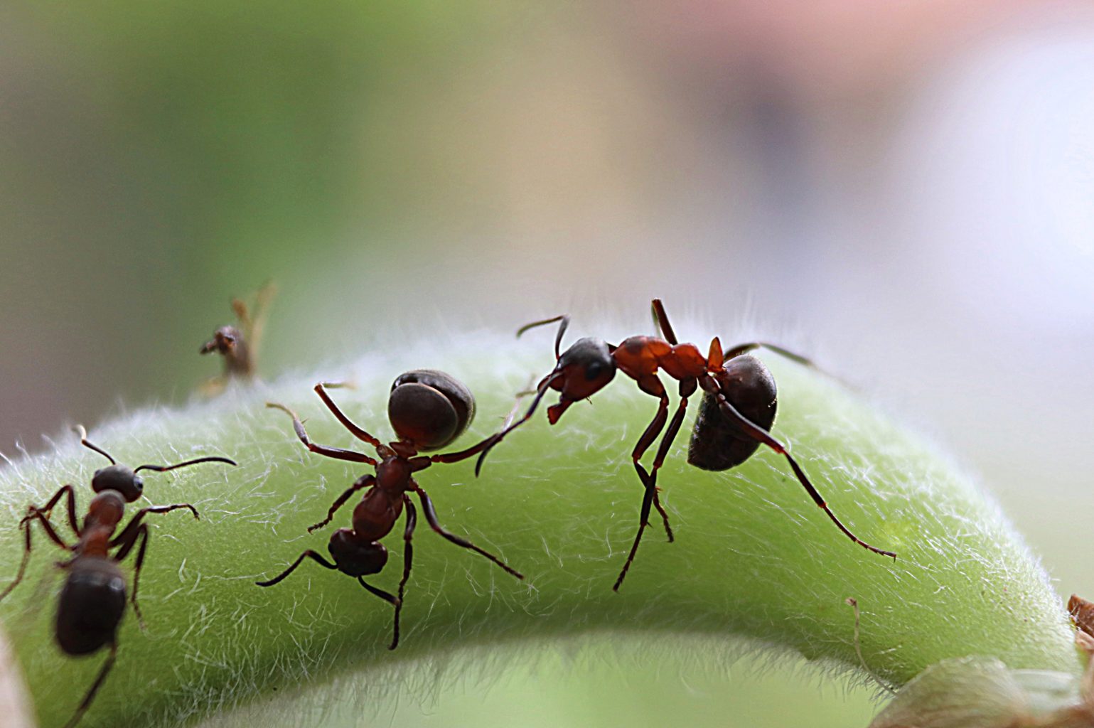 Valokuvaaja: Irja lehtinen