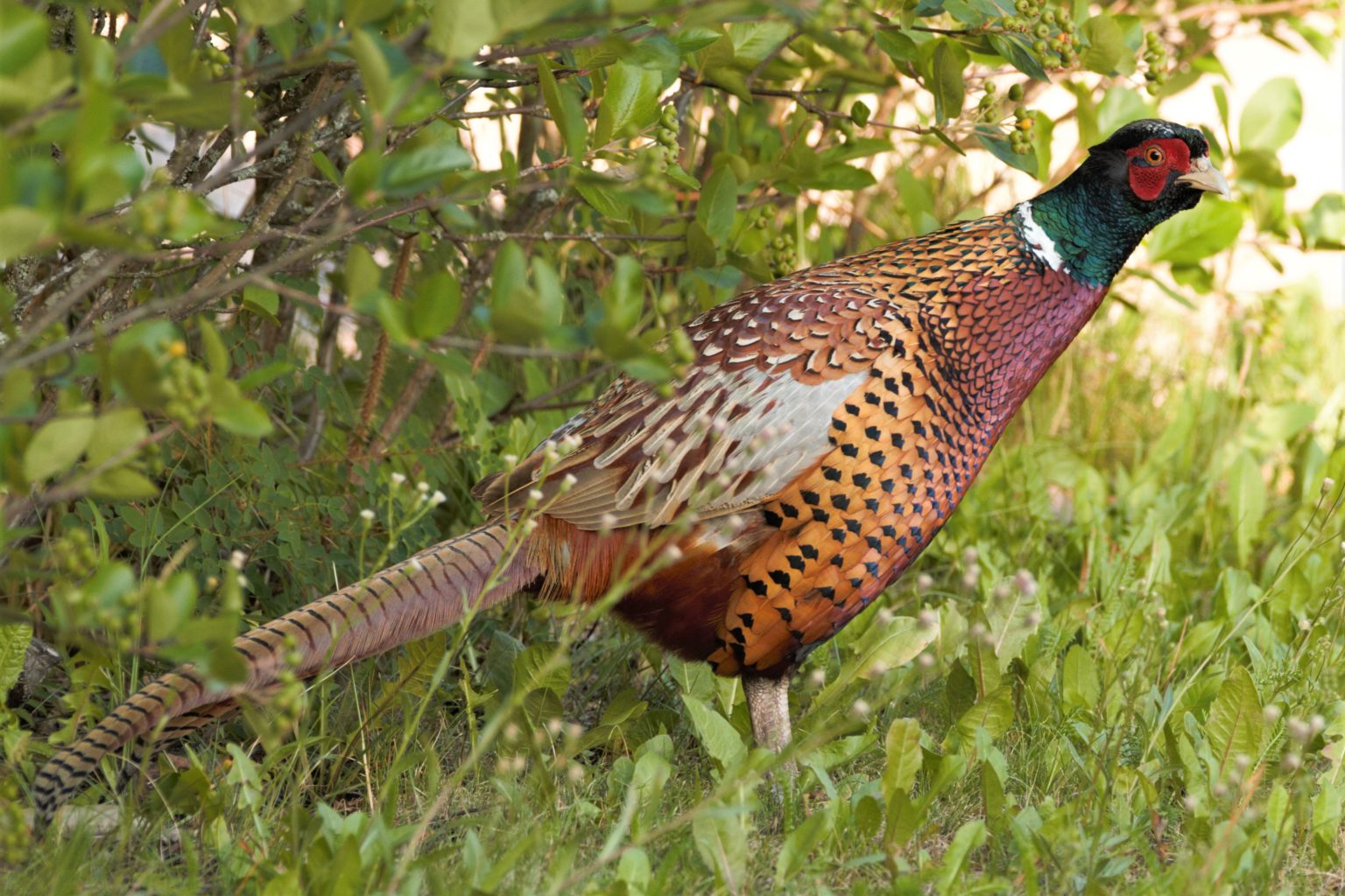 Valokuvaaja: Päivi Punta