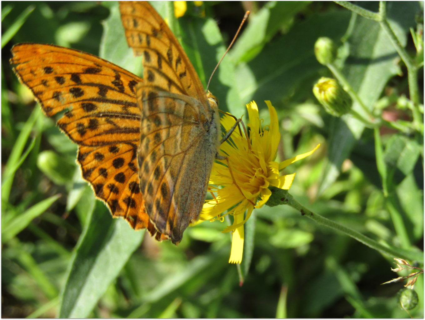 Valokuvaaja: Sirkka Ruotoistenmäki