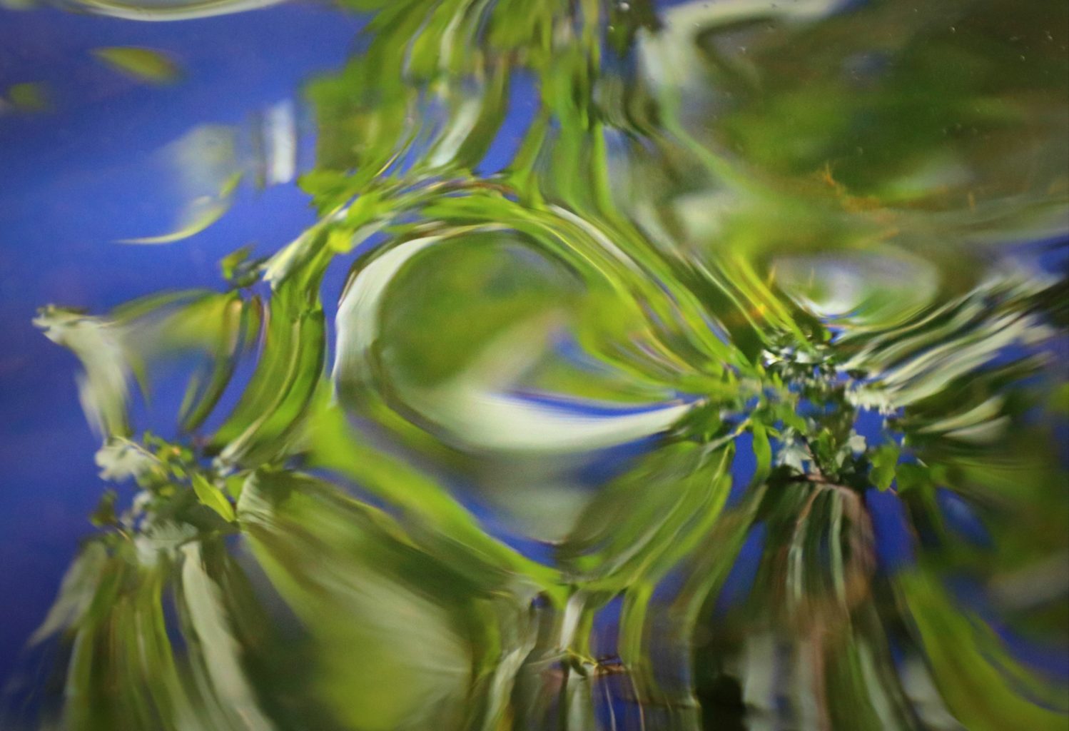 Valokuvaaja: Irja lehtinen