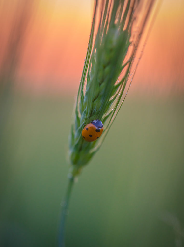Valokuvaaja: Jukka Risikko