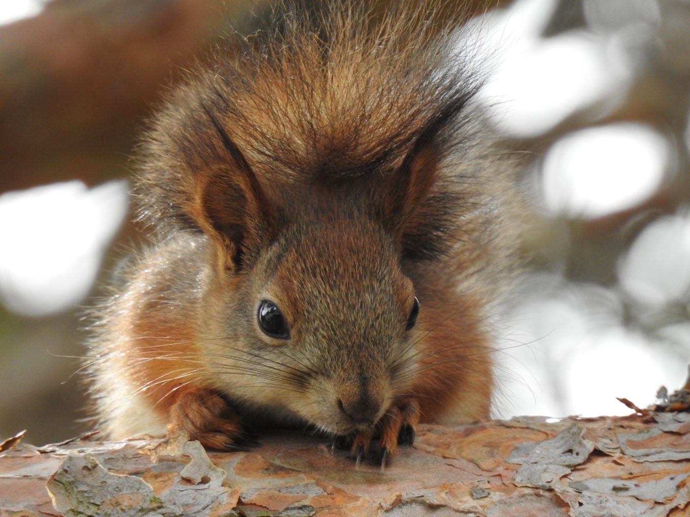 Valokuvaaja: Sirkka Tervo