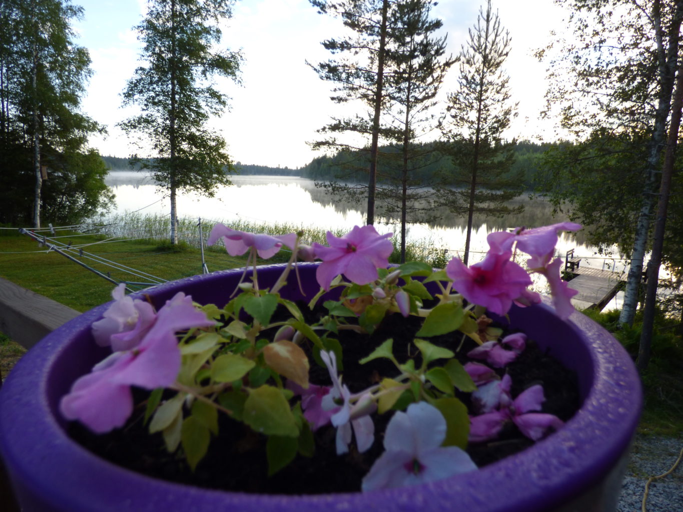 Valokuvaaja: Hannu Rissanen