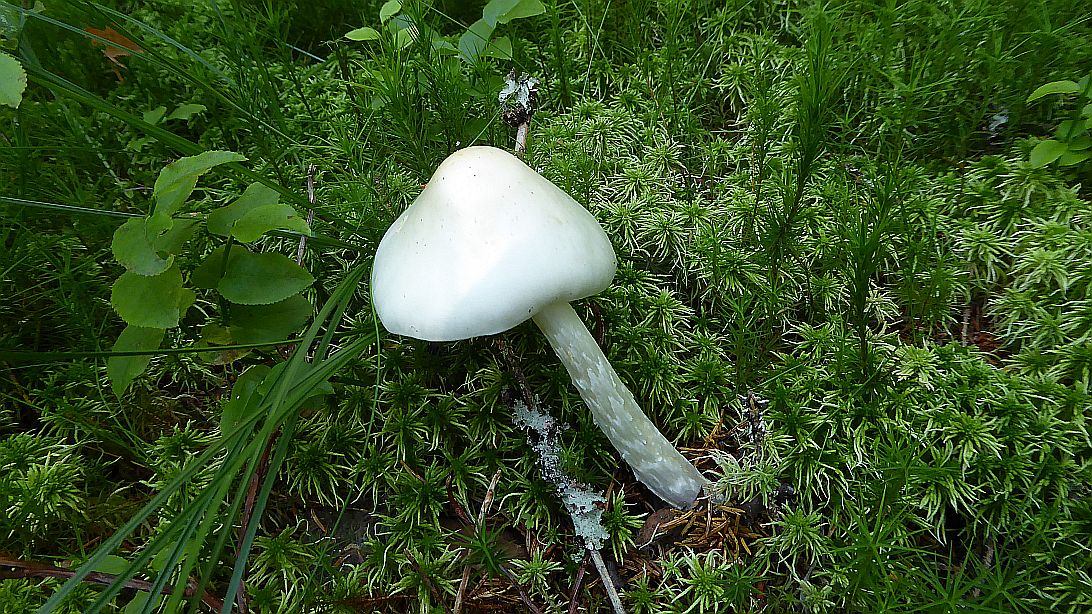 Valokuvaaja: Arja Valtonen