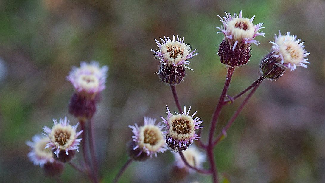 Valokuvaaja: Arja Valtonen
