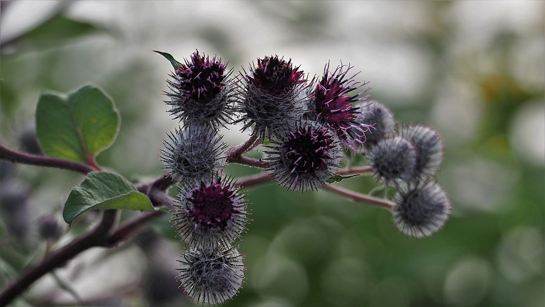 Valokuvaaja: Arja Valtonen