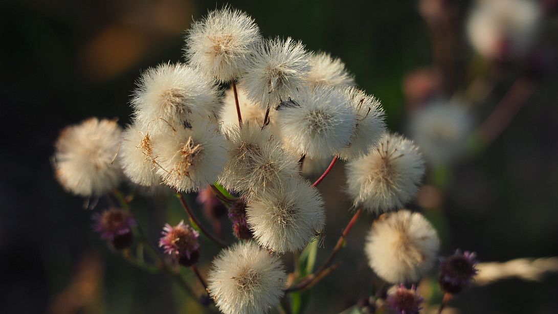 Valokuvaaja: Arja Valtonen