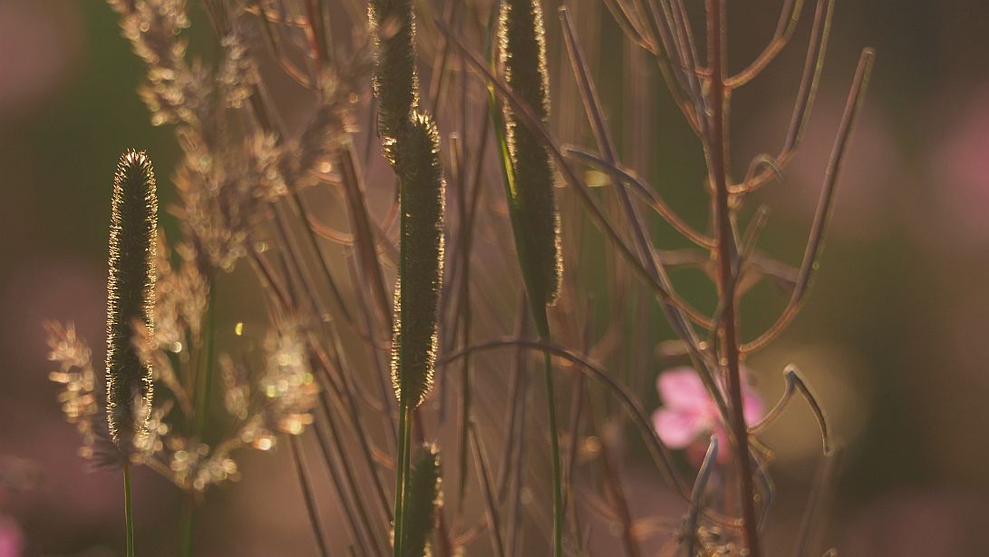 Valokuvaaja: Arja Valtonen