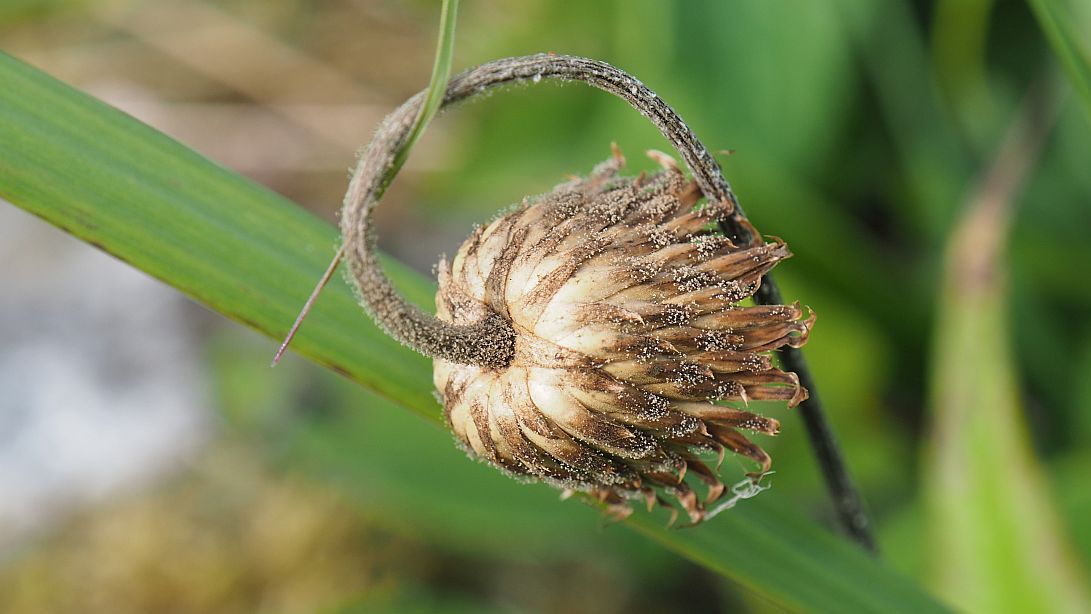 Valokuvaaja: Arja Valtonen