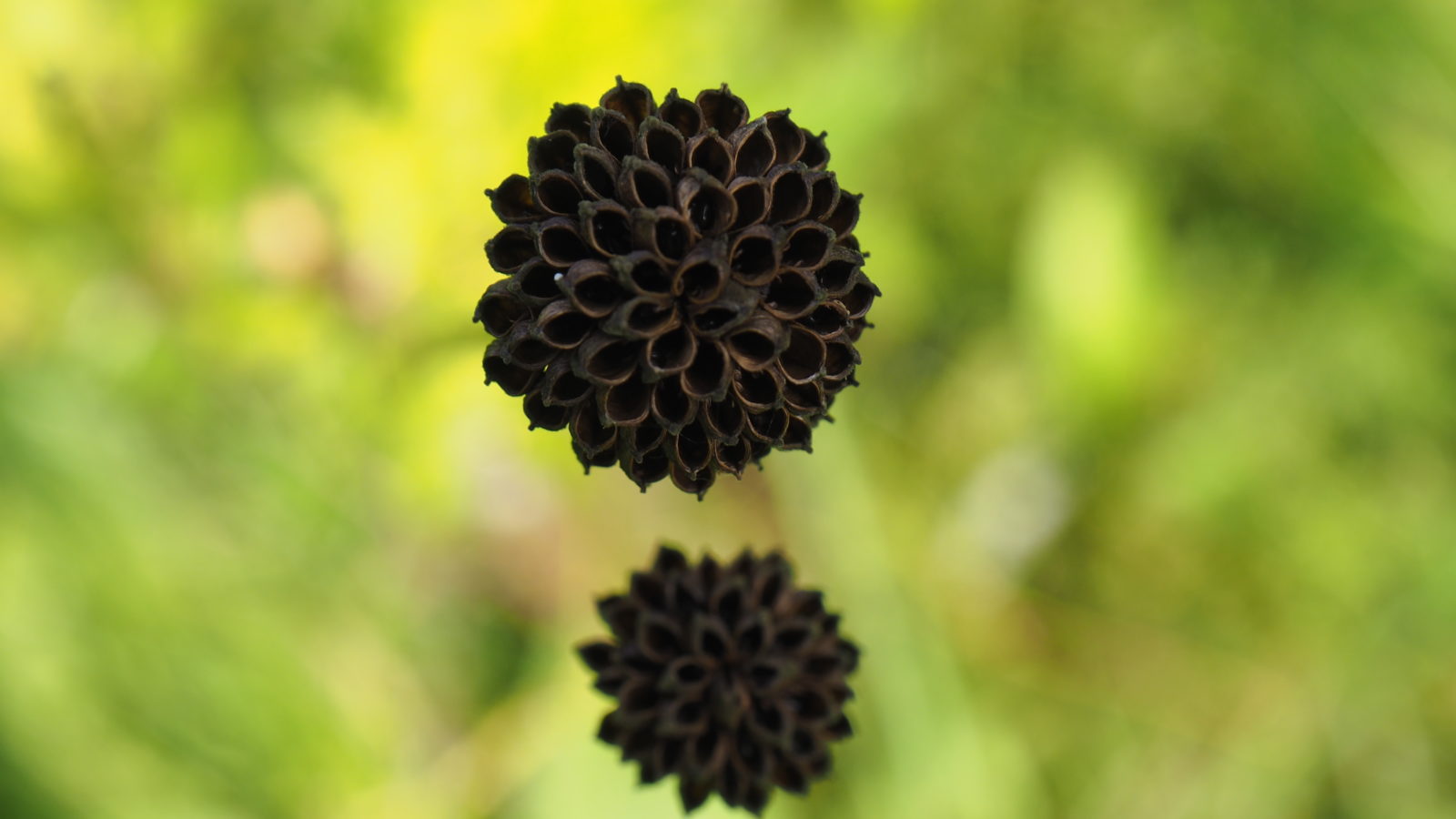 Valokuvaaja: Arja Valtonen