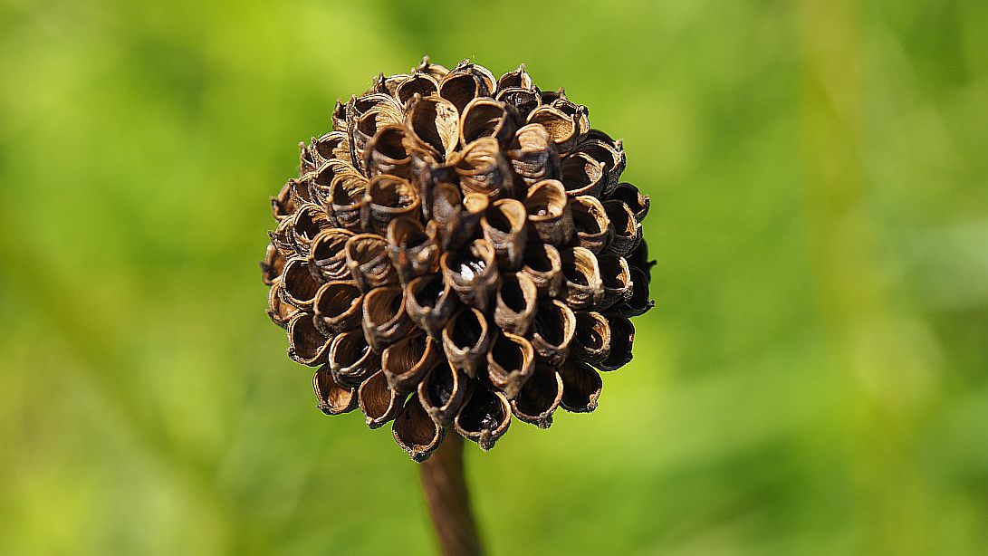 Valokuvaaja: Arja Valtonen