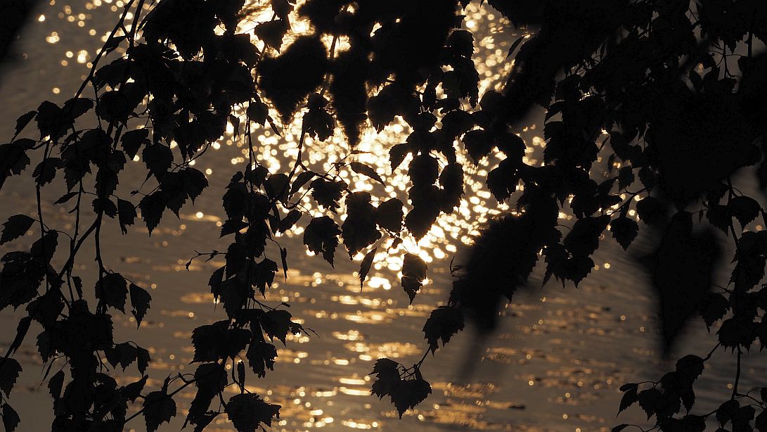 Valokuvaaja: Arja Valtonen