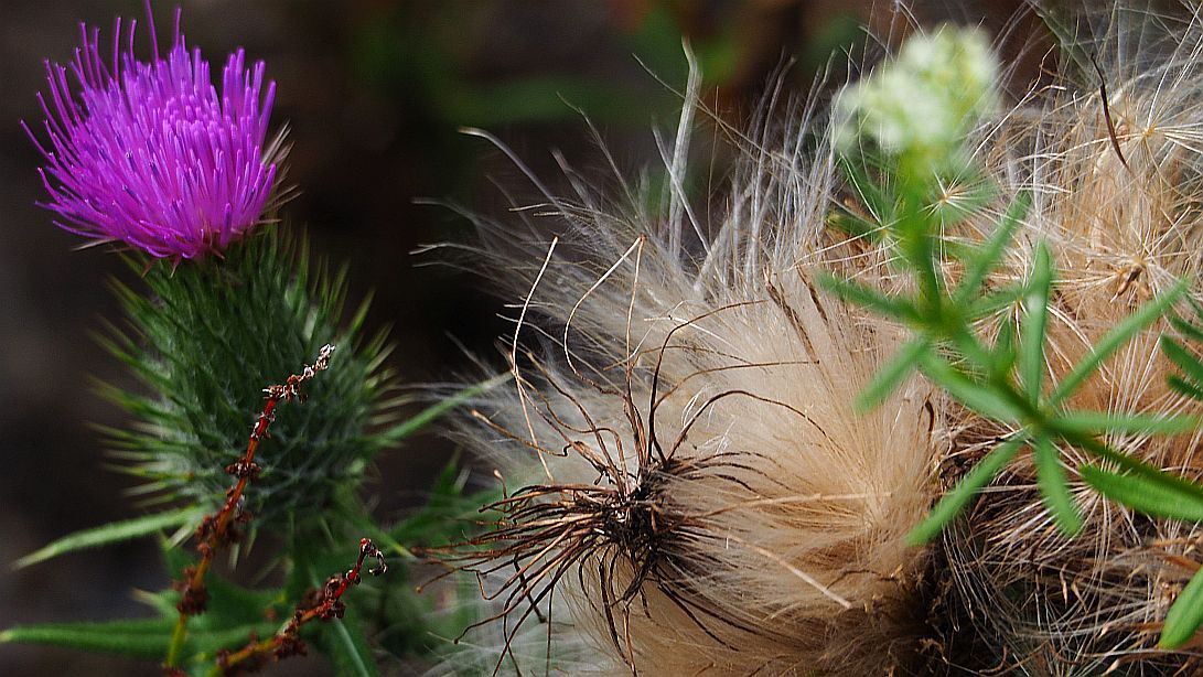 Valokuvaaja: Arja Valtonen