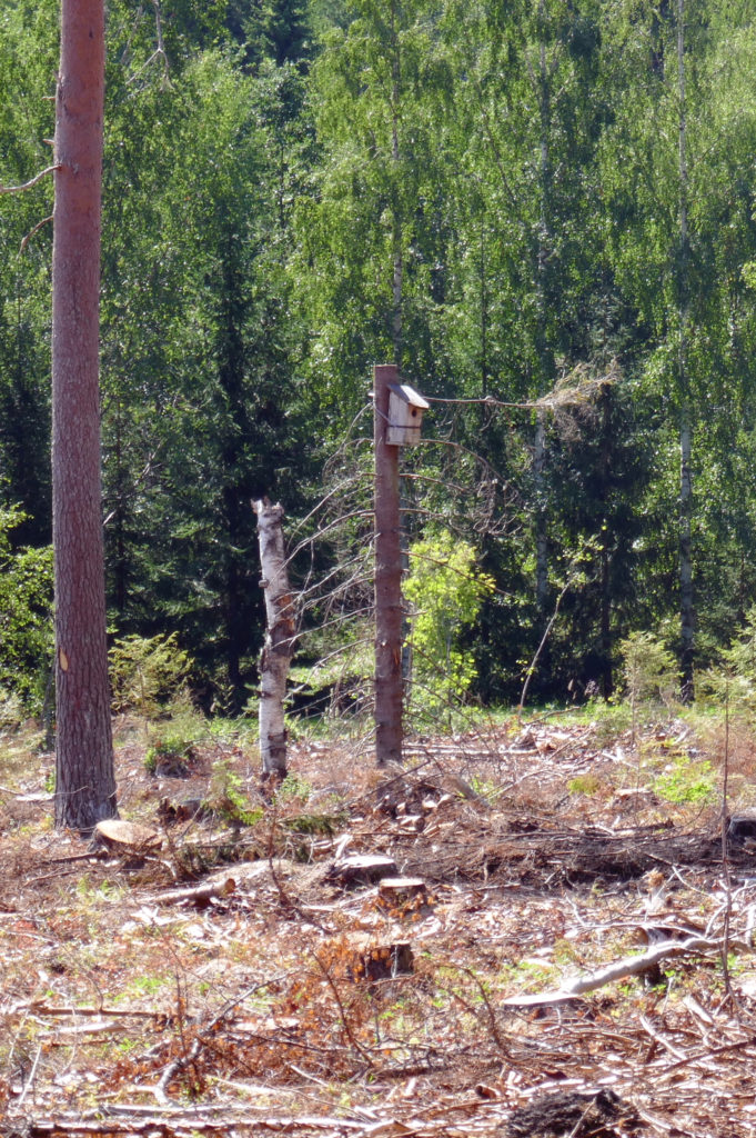 Valokuvaaja: Tuomo Martinmäki
