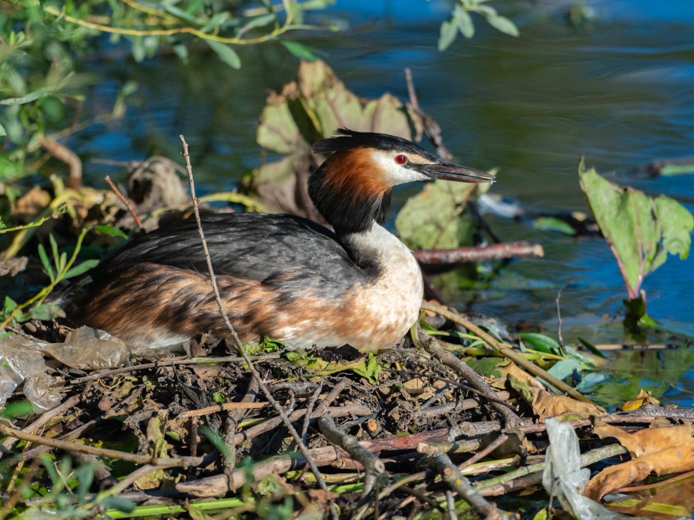 Valokuvaaja: Kyösti Sorsa
